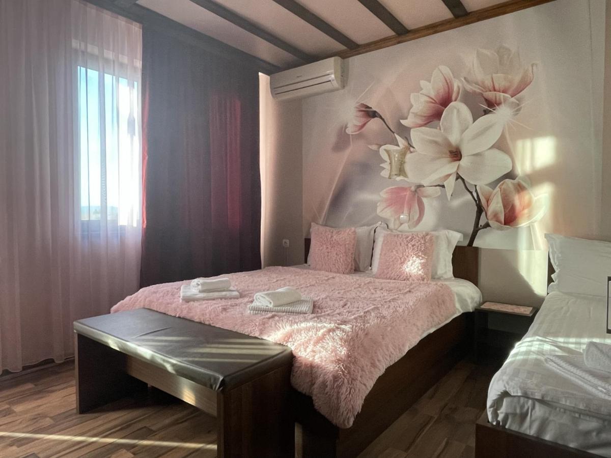 Asya Guest House Sapareva Banya Dış mekan fotoğraf